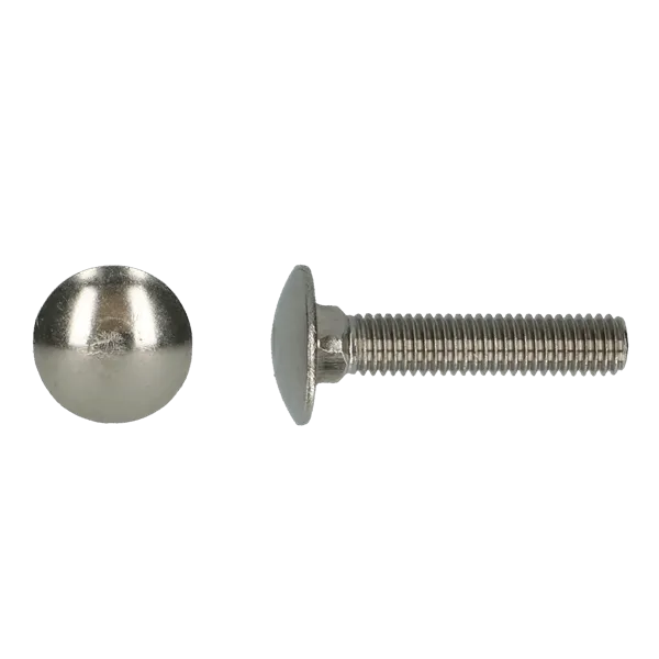 A2 slotbouten M  6 x  30 mm  Din 603 verpakking 200 stuks