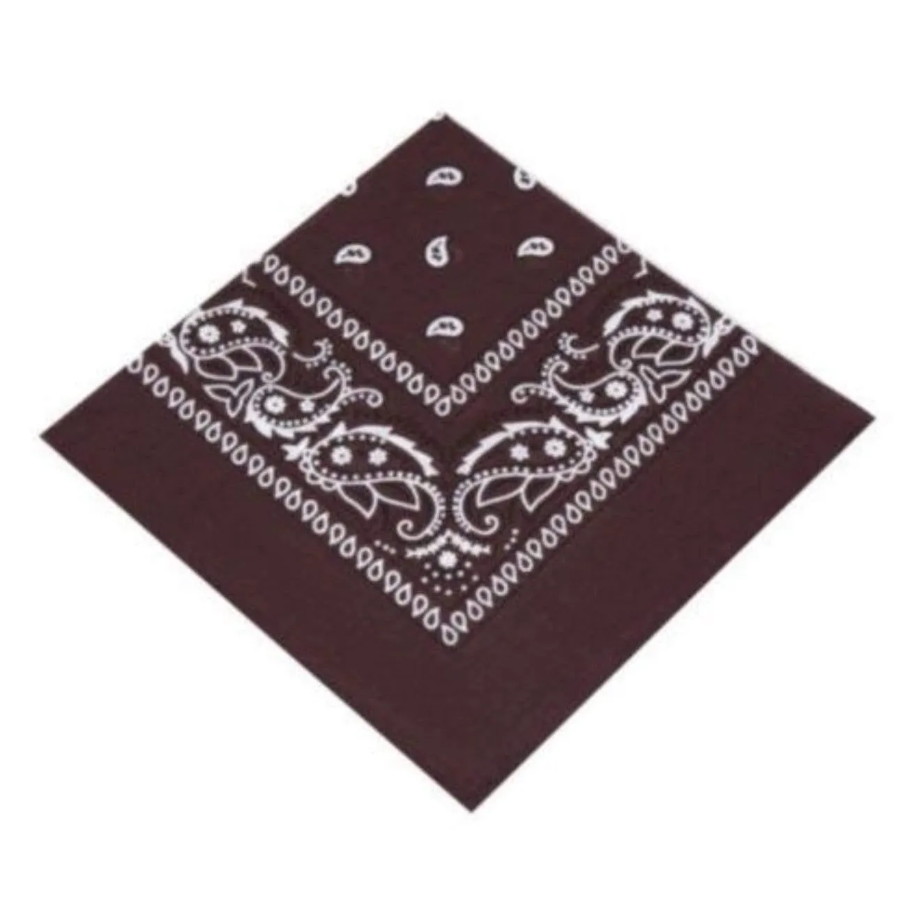 Bandana Bruin