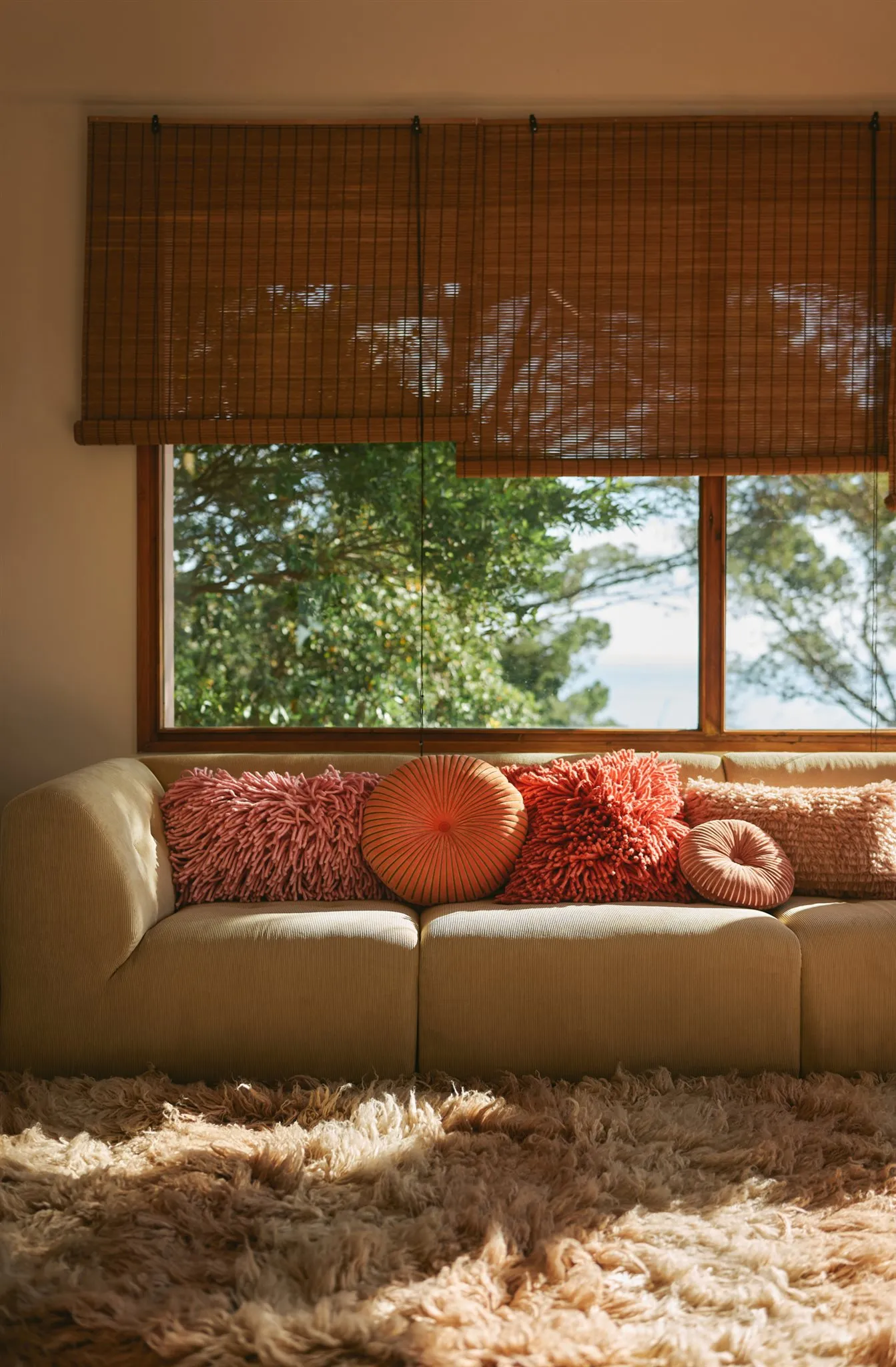 Fluffy Cushion