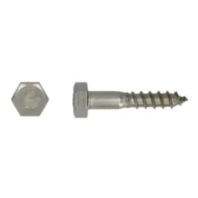 Houtdraadbout DIN 571 Ø10,0x110 A2
